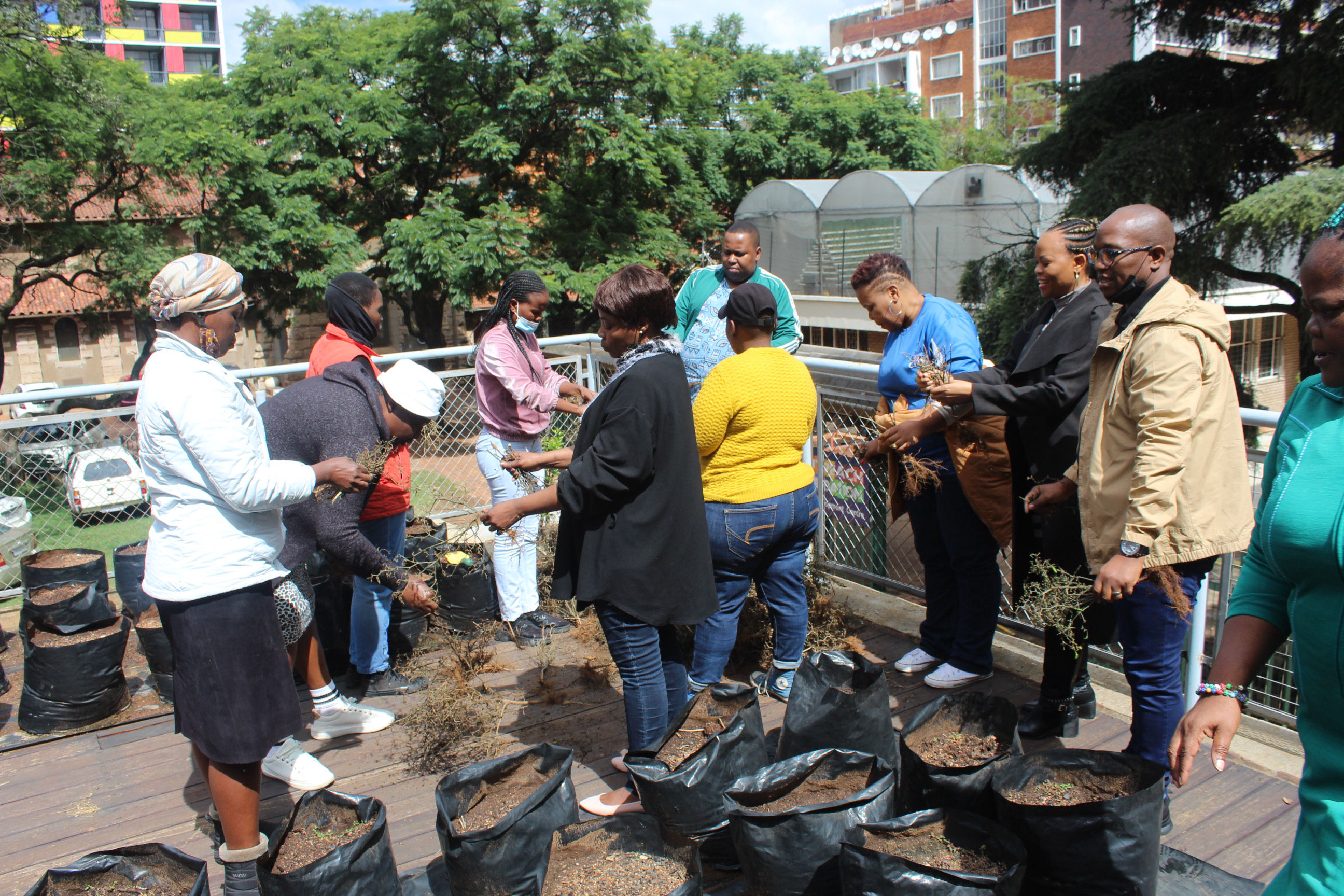 Students learn about plants and planting and more during the Outreach Foundation urban farming/greening course